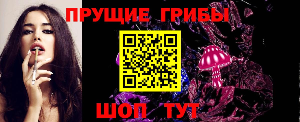 Галлюциногенные грибы мицелий  Вход с VPN  Галлюциногенные грибы Psilocybine cubensis  Михайловка 