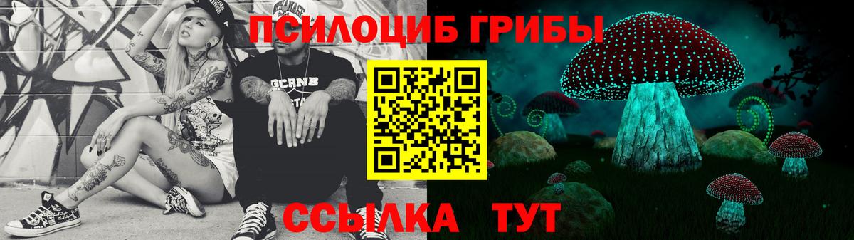 Псилоцибиновые грибы Psilocybine cubensis Михайловка